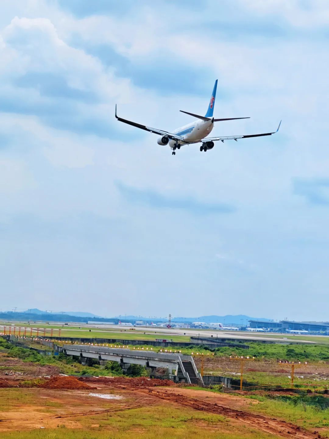 蘋方簡細(xì)體圖片